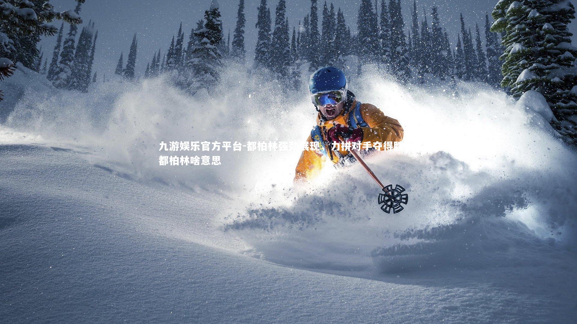 都柏林强劲展现，力拼对手夺得胜利，都柏林啥意思